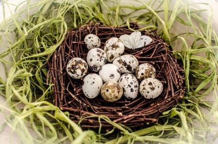 KW 3917 08. März 2014 (Medium)